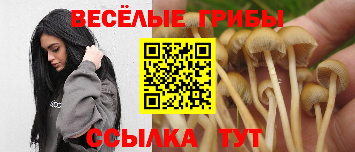 Псилоцибиновые грибы Psilocybine cubensis  цены наркотик  Ногинск  Вход с VPN 